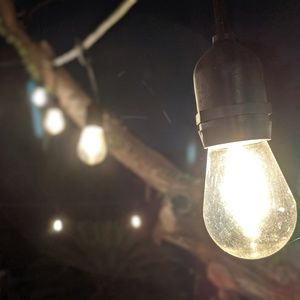 Meet your Posher, Stevey